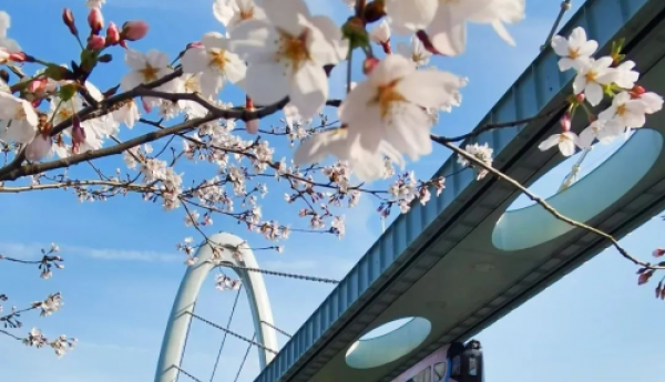 光谷今起推出6条科技旅游线路！“光樱的故事”小程序上线，购票、预约点这里→